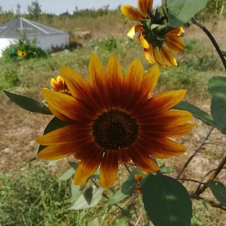 Εξοχικό σπίτι Lira *