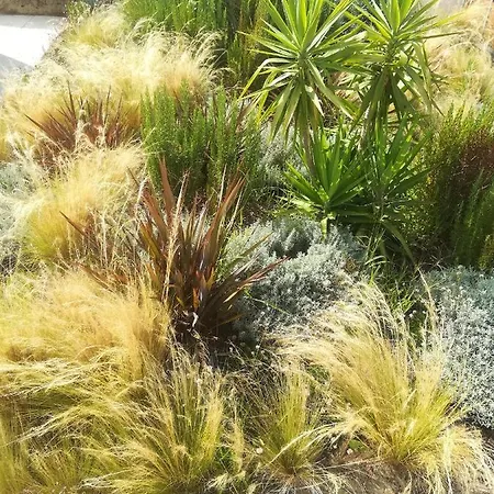 Lira Casa di campagna